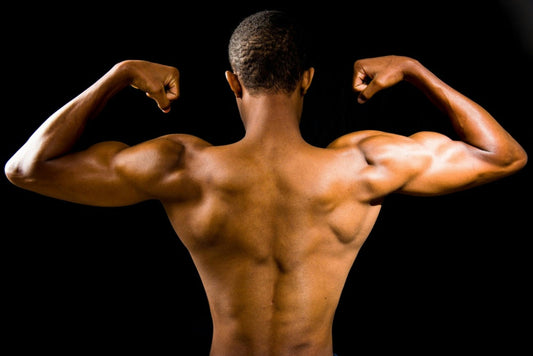 The Power of Amino Acids: Your Essential Guide to Energy & Recovery
