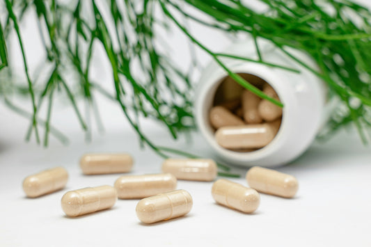 Nature’s Gift to Your Body: The Benefits of Herbal Supplements