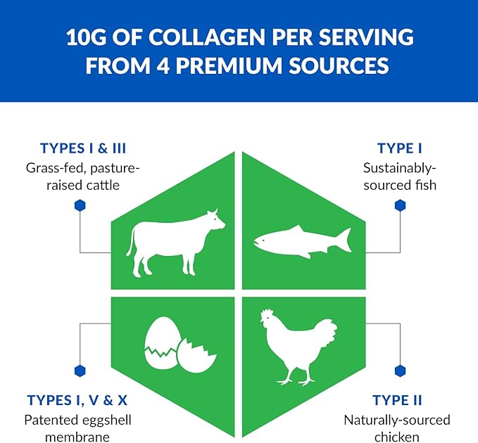 BioTrust Multi Collagen Protein Powder + Keto MCT Oil – 5 Types (I, II, III, V, X) & 100% Caprylic Acid C8 - Support Elevated Ketones, Metabolism, Joints & Beauty All in 1 Collagen Powder (Unflavored)