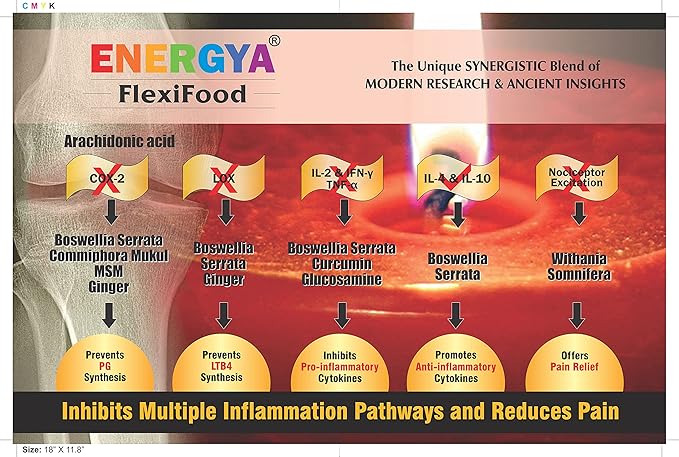 FLEXIFOOD 33 in 1 Powder of