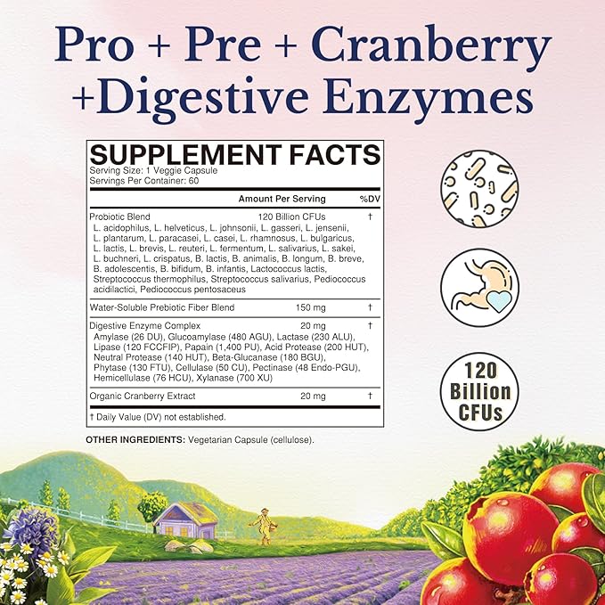 Vitalitown Probiotics for Women 120 Billion CFUs, 30 Strains, with Prebiotics & Digestive Enzymes & Cranberry, Gut & Vaginal Health, Vegan 60 (Pack of 1) Delayed Release Caps