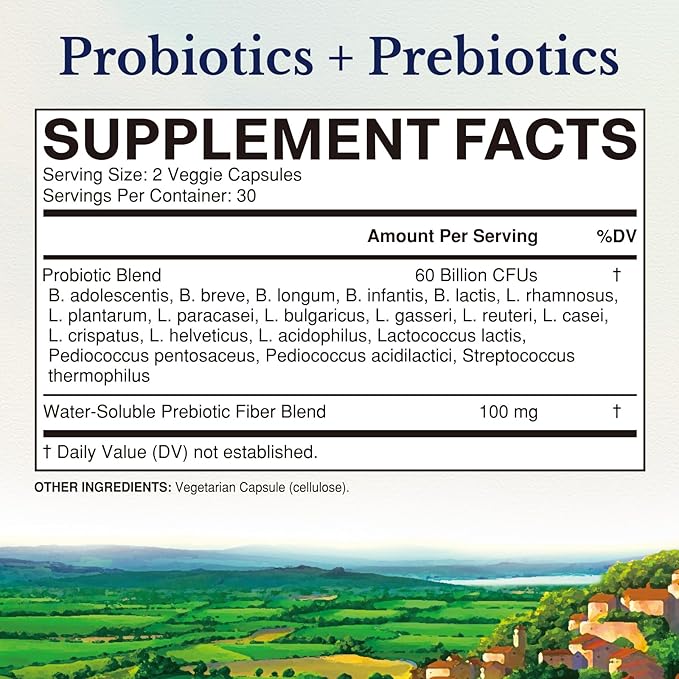 Vitalitown Probiotics + Prebiotics | 60 Billion CFUs 19 Strains | 60 Delayed Release Veg Caps | Shelf Stable, Prebiotics and Probiotics | Digestive Health, Immune Health | Vegan, Non-GMO, No Dairy