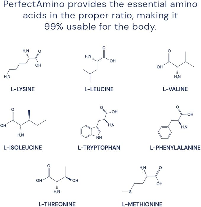 BodyHealth PerfectAmino Powder 30 Servings