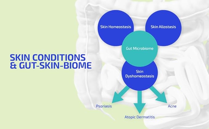 Codex Labs BIA GutBuilder – Supports Gut Health & Immunity - Fortifies Gut Microbiome & Skin Barrier with Prebiotics & Superfoods - 30-Day Supply
