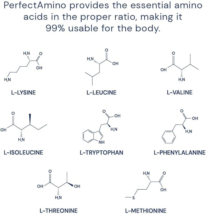 BodyHealth PerfectAmino Powder 60 Servings