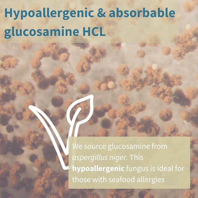 Omegaflex Glucosamine with High Strength Fish Omega-3 & 6, 70% 70% Concentration 60 Softgels
