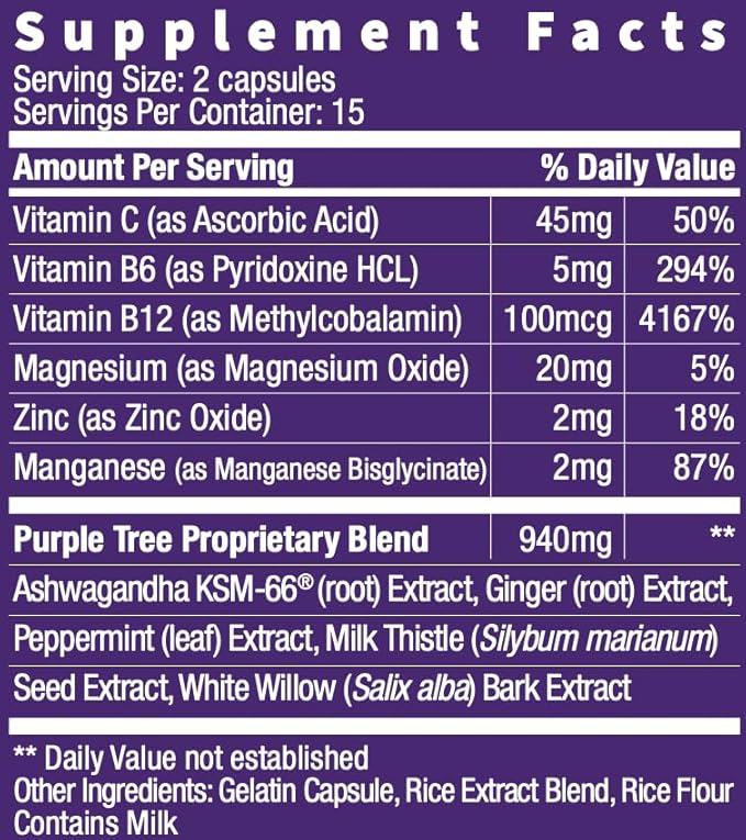 purple tree Next Day, Post-Celebration Wellness - Take Tomorrow | Replenish & Feel Your Best | Ashwagandha, Ginger, Peppermint, Milk Thistle, Electrolytes, Vitamins, 30 Pills