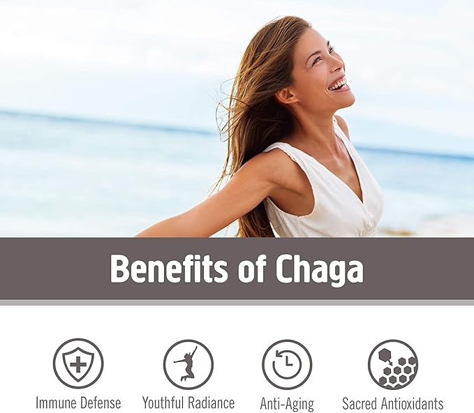 Om Mushroom Superfood Chaga Mushroom Capsules Superfood Supplement, 90 Count, 30 Days, US Grown, Sacred Antioxidants & Immune Support, Superfood Mushroom Supplement