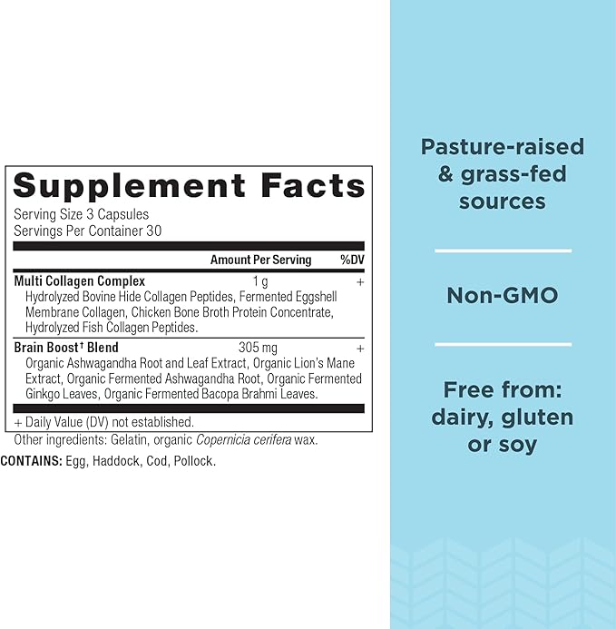 Ancient Nutrition Collagen Protein Brain Boost, 90 ct