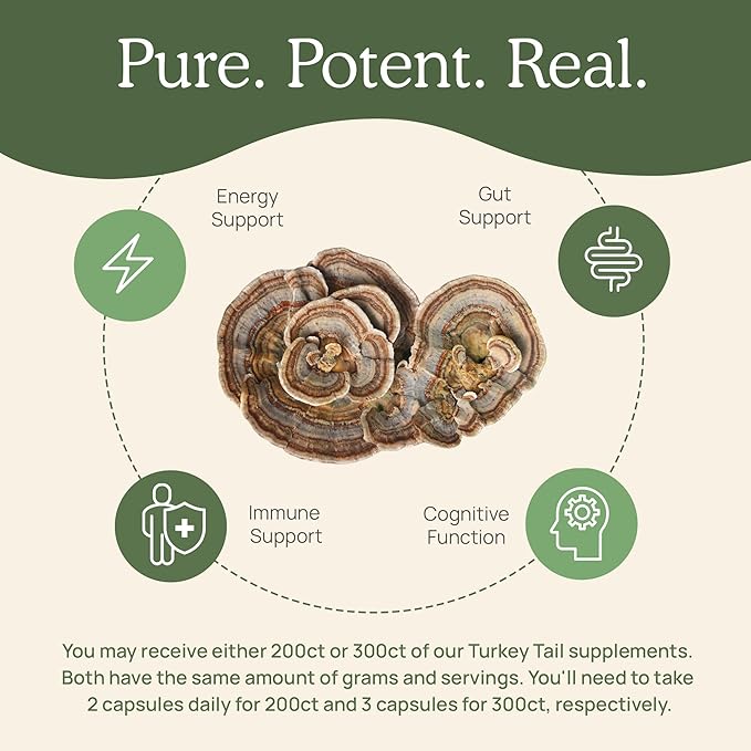 Turkey Tail Capsules - Organic Mushroom Supplement with Potent Extract for Gut, Energy, Brain, Immune Support Vegan Extract, Non-GMO, 200 Caps