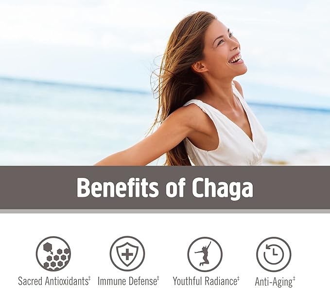 OM MUSHROOM SUPERFOOD Chaga Organic Mushroom Powder, 7.05 Ounce Pouch, 100 Servings, US Grown, Sacred Antioxidants & Immune Support, Superfood Mushroom Supplement