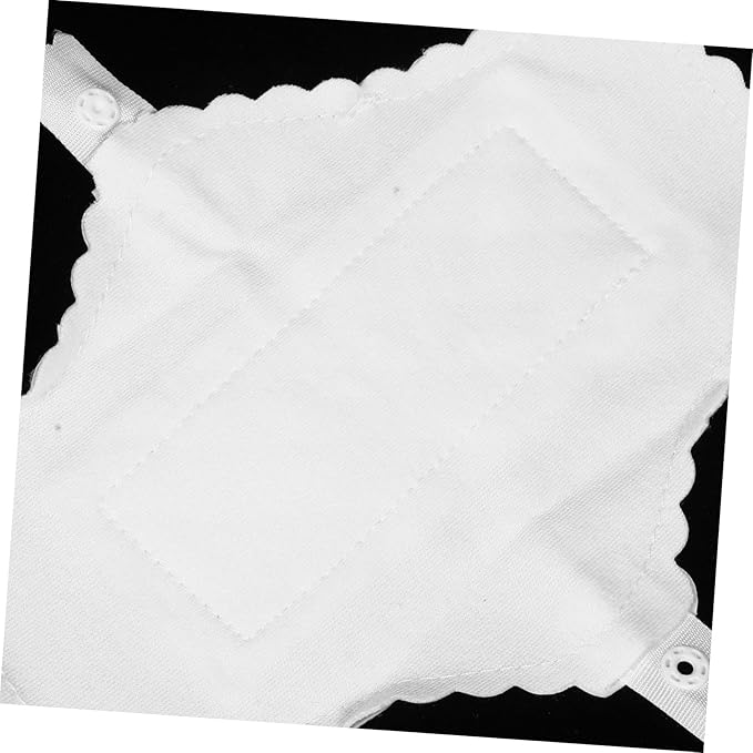 10pcs Washable Menstrual Cloth Panty Sanitary