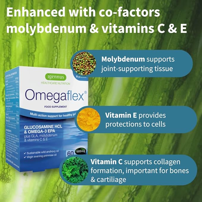 Omegaflex Glucosamine with High Strength Fish Omega-3 & 6, 70% 70% Concentration 60 Softgels