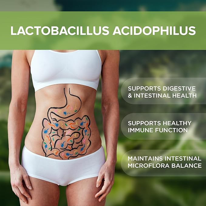Lactobacillus Acidophilus Probiotic Supplement 240 Tablets 3 Billion (240, Lactobacillus