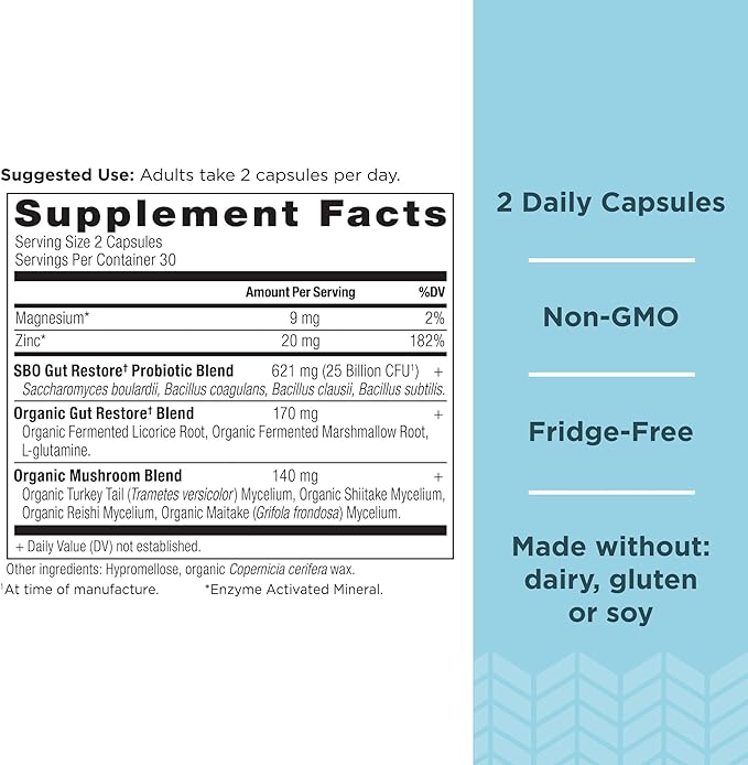 Probiotics by Ancient Nutrition, SBO Probiotics 60 Ct, 25 Billion