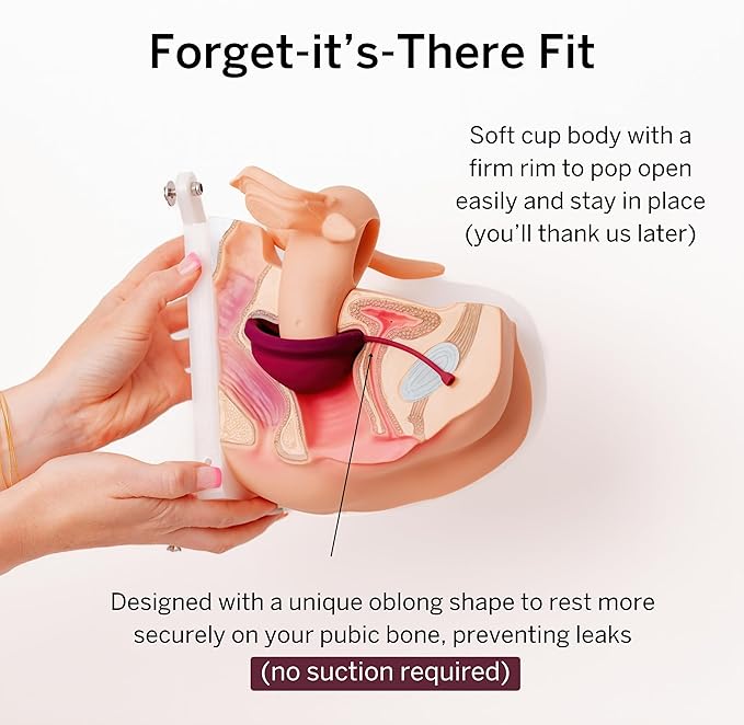 2 Menstrual Discs 100% Medical-Grade 1 for 12 Hours 3 and 7 Tampons