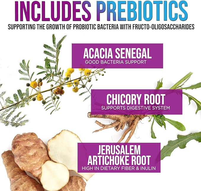 Daily Probiotic and Prebiotic Supplement 60 10 Diverse 120 Capsules