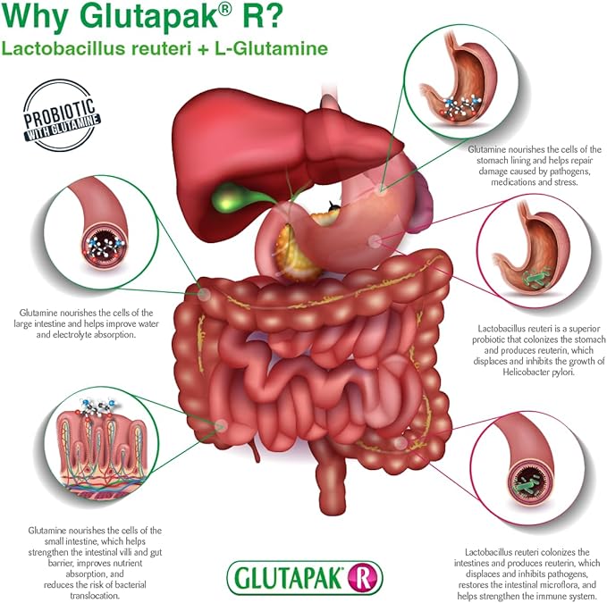 R Probiotics with Glutamine and Lactobacillus Reuteri, 15g per Packet - 3 Packets