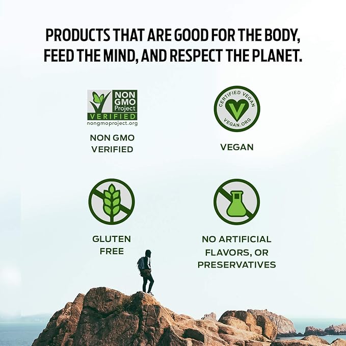 Vega Protein Made Simple Protein Powder, 9.3 oz