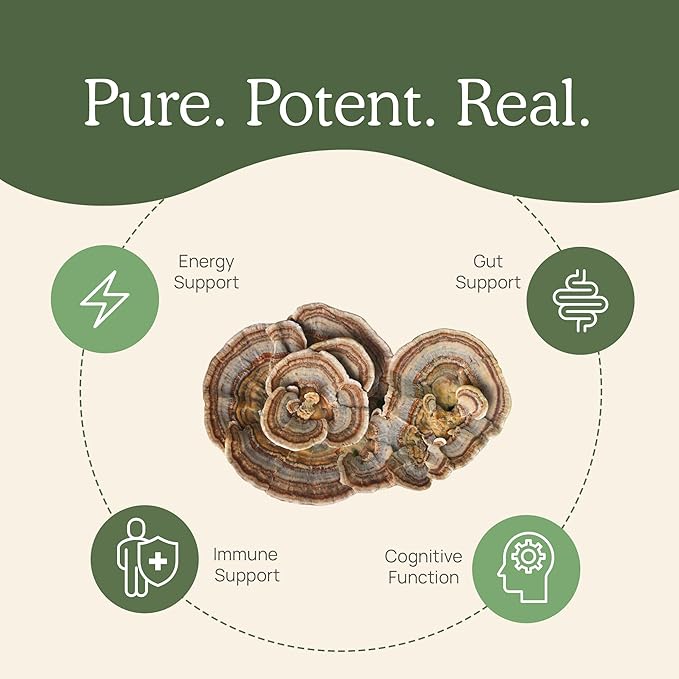 Real Turkey Tail Powder - Organic Mushroom Supplement with Potent Extract for Gut, Energy, Brain, Immune Support Vegan, Non-GMO, 45 Servings