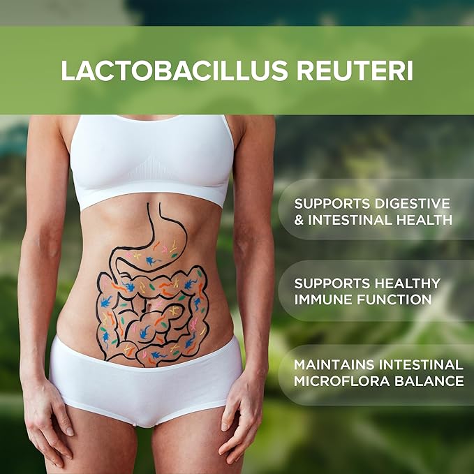 Lactobacillus Reuteri Probiotic Supplement 240 Tablets 3 Billion (240, Lactobacillus