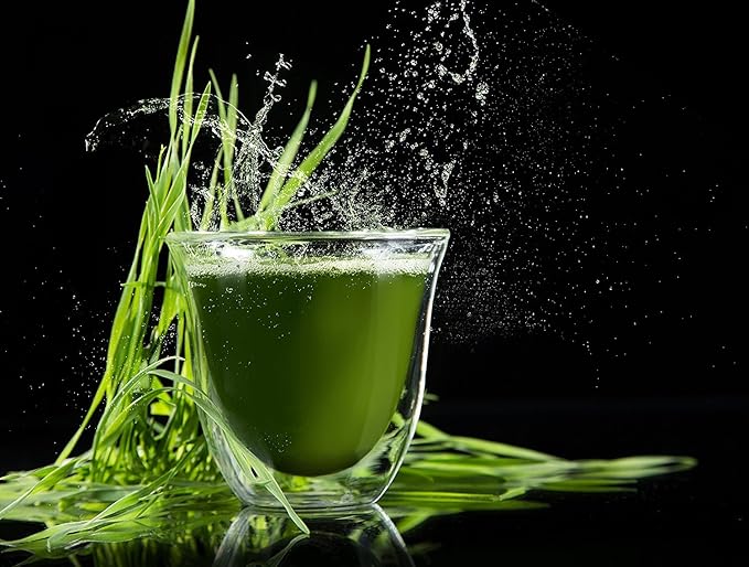 NATURELO Raw Greens Superfood Powder 480 Grams