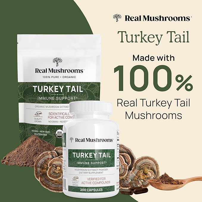 Real Turkey Tail Powder - Organic Mushroom Supplement with Potent Extract for Gut, Energy, Brain, Immune Support Vegan, Non-GMO, 45 Servings