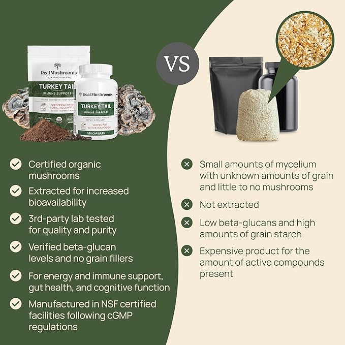 Real Turkey Tail Powder - Organic Mushroom Supplement with Potent Extract for Gut, Energy, Brain, Immune Support Vegan, Non-GMO, 45 Servings