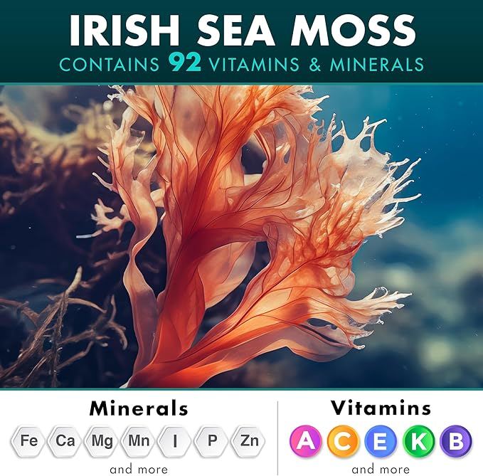 2 Pack Irish Sea Moss Black Seed Oil Ashwagandha Ginger, 20,000mg Capsules, Seamoss Black Seed Oil Ashwagandha Burdock Root, Sea Moss and Ashwagandha, All in One Supplement, 240 Sea Moss Capsules