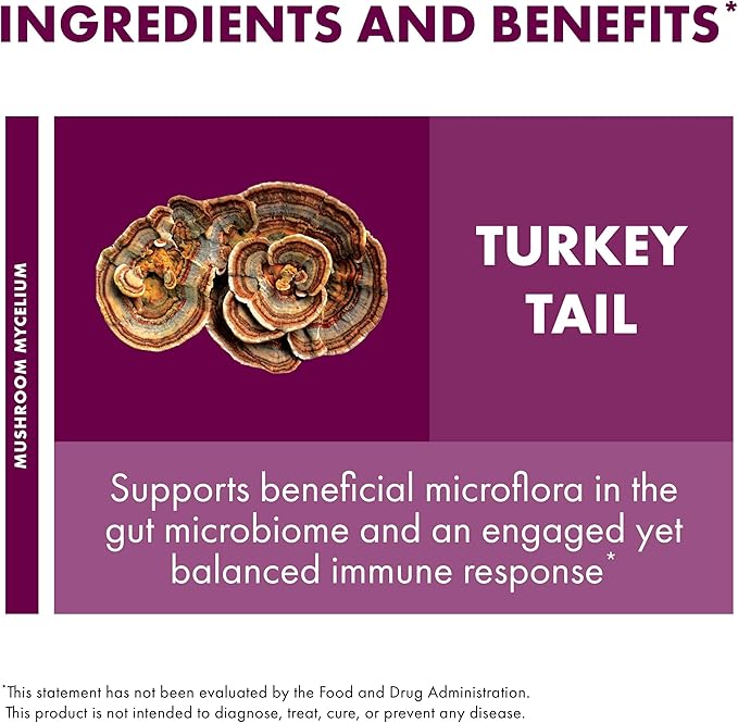 Host Defense Turkey Tail Capsules - Digestive Health & Immune Response Support Supplement - Mushroom Supplement for Gastrointestinal & Gut Microbiome Support - 60 Capsules (30 Servings)*