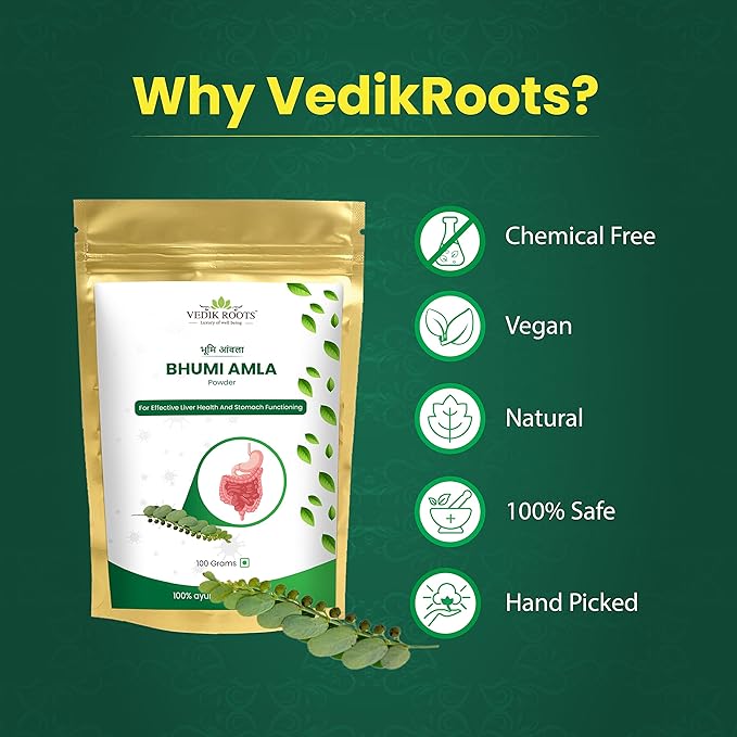 Organic Bhumi Amla Powder 100 Gm 2)