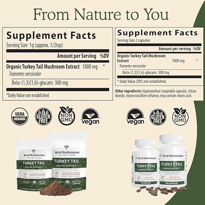 Real Turkey Tail Powder - Organic Mushroom Supplement with Potent Extract for Gut, Energy, Brain, Immune Support Vegan, Non-GMO, 45 Servings