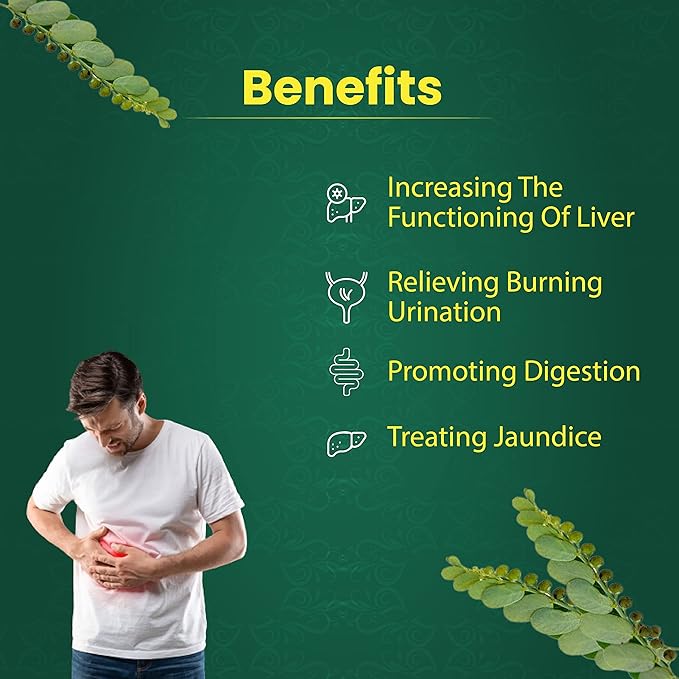 Organic Bhumi Amla Powder 100 Gm 2)
