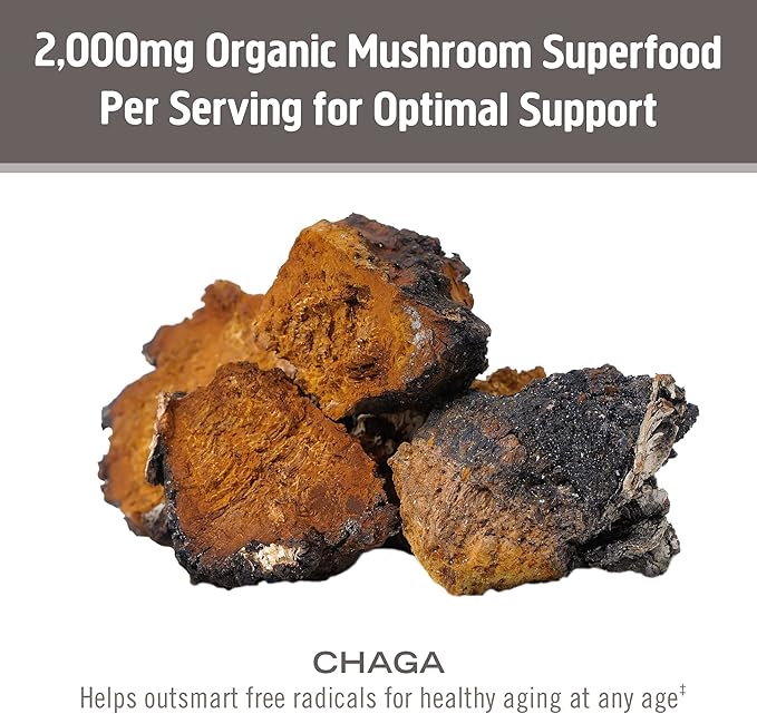 OM MUSHROOM SUPERFOOD Chaga Organic Mushroom Powder, 7.05 Ounce Pouch, 100 Servings, US Grown, Sacred Antioxidants & Immune Support, Superfood Mushroom Supplement