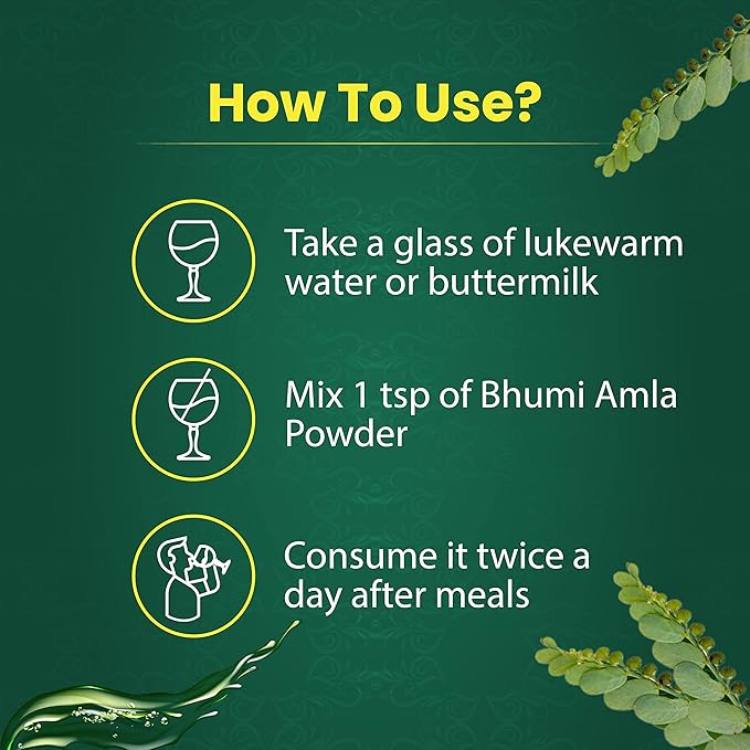 Organic Bhumi Amla Powder 100 Gm 2)